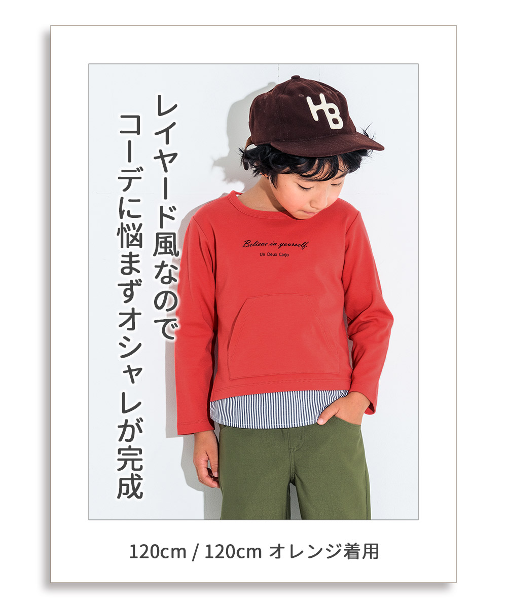 LP画像