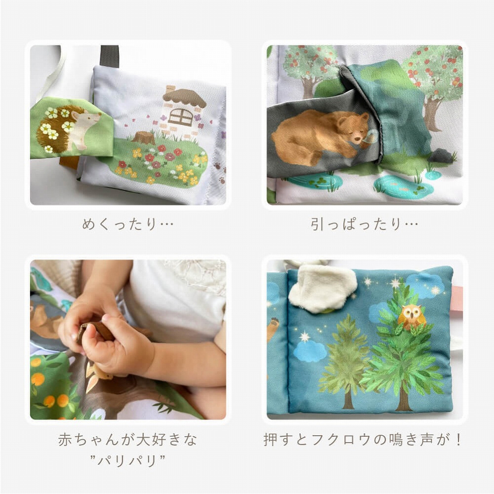 LP画像
