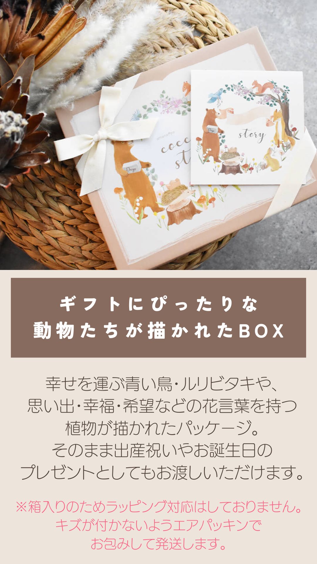 LP画像