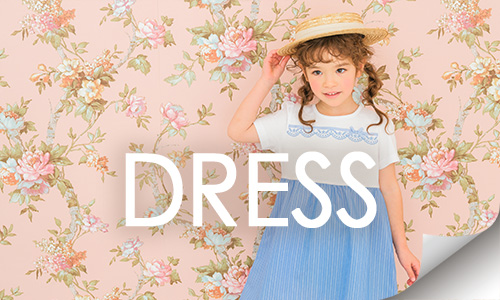 ドレスメニュー