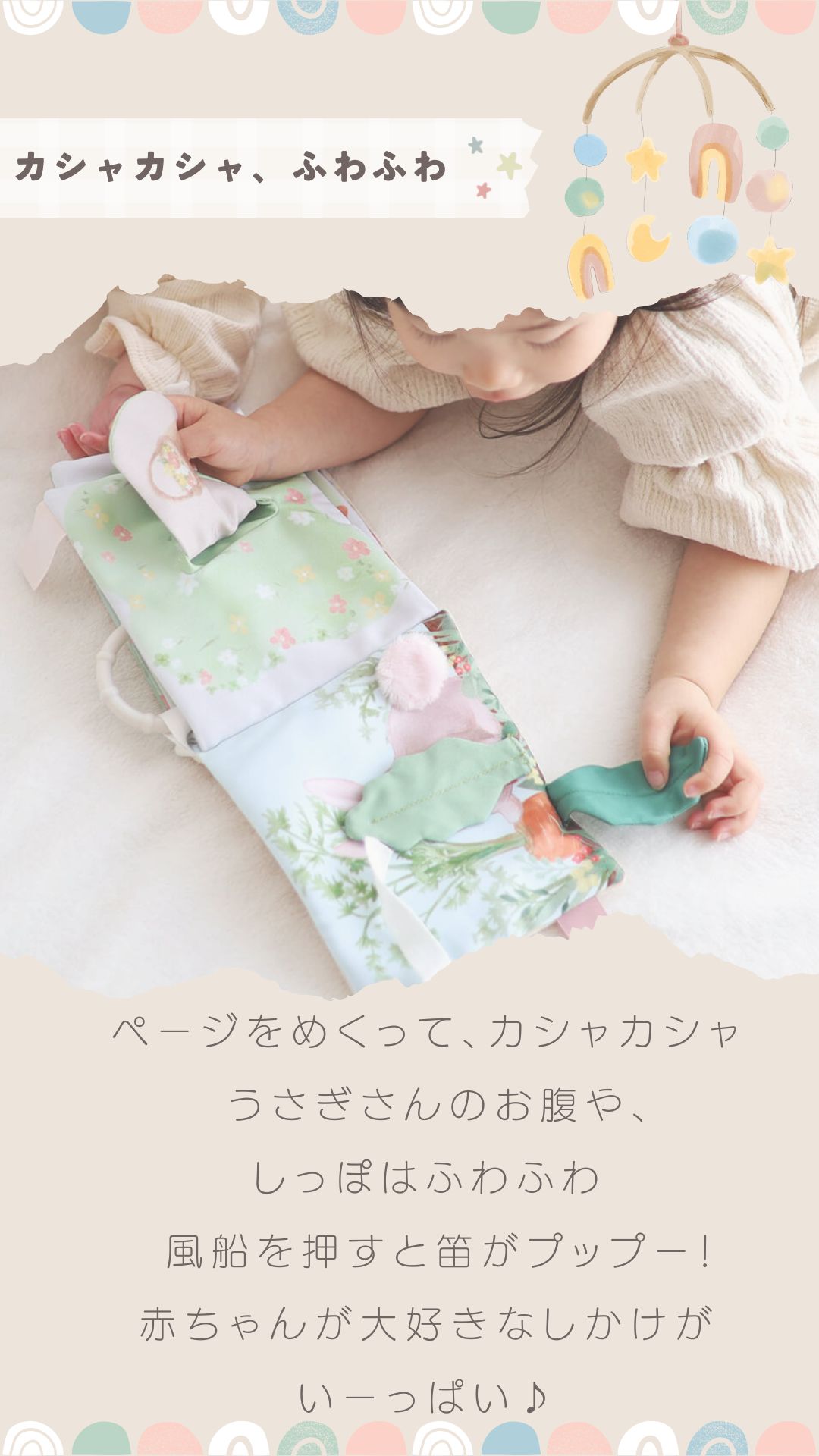 LP画像