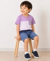 子供服 男の子 綿100％ ボーダー 切り替え Tシャツ パープル(91)