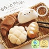 もちっとラトル こぐまくんの焼きたてパン　cocory friends