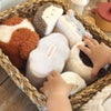 もちふわブロック ふわふわ＋ 森の新しいおともだち cocory friends